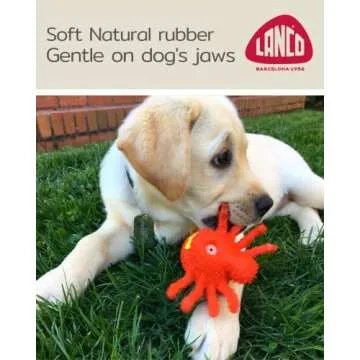 Natural Rubber Puppy Teething Toy for Small Dogs