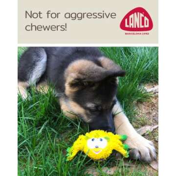 Puppy Teething Toys 100% Natural Rubber (Latex). Free from Harmful Chemicals. Help Clean Teeth and Soothe Gums. Small Breeds