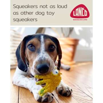 Puppy Teething Toys 100% Natural Rubber (Latex). Free from Harmful Chemicals. Help Clean Teeth and Soothe Gums. Small Breeds