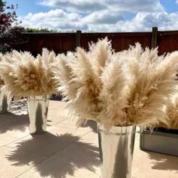 40" Fluffy Pampas Grass Stems – Perfect for Decor