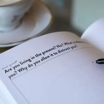 The New Mindset Journal: Catch Feelings For Yourself & Find Inner Peace - Guided Daily Self Care - Gratitude Journal - Mindfulness & Manifestation Prompts - New Mindset, Who Dis - Hardcover (60 Days)