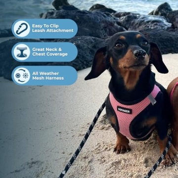 Voyager Step-In Air Dog Harness - All Weather Safety