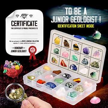 XXTOYS Kids Rocks Collection - 15-Piece Rock Collections for Kids - Cool Geology Gem Kit with Identi...