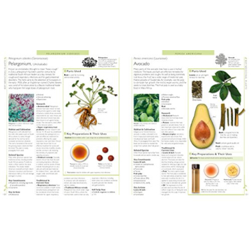 DK Encyclopedia of Herbal Medicine for All Ages