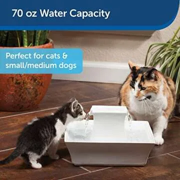 PetSafe Drinkwell Pagoda Ceramic Cat & Dog Water Fountain, 70oz Capacity, Encourages Hydration, Open Bowl Design, White