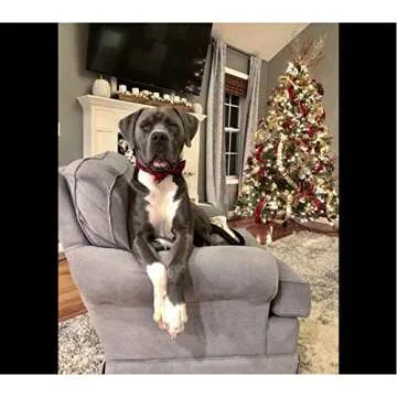 Unique Style Paws Pet Soft &Comfy Bowtie Dog Collar and Cat Collar Pet Gift for Dogs and Cats 6 Size and 7 Patterns