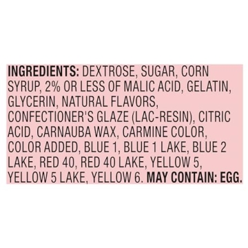Rainbow Nerds Rope Candy Pack of 24 Ounces