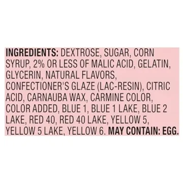 Rainbow Nerds Rope Candy Pack of 24 Ounces