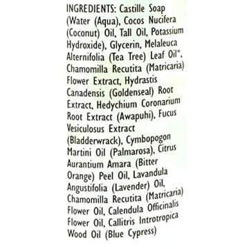 Trader Joe's Spa Face Wash with Tea Tree Oil (2 Packs)