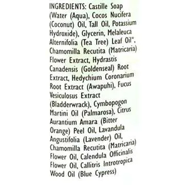 Trader Joe's Spa Face Wash with Tea Tree Oil (2 Packs)