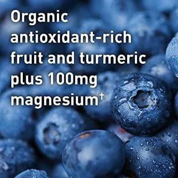 Garden of Life Sport Vegan Organic Plant Based Post Workout Muscle Recovery Powder for Men & Women - BlackBerry Lemonade 30 Servings, 100mg Magnesium, Antioxidants, Supplements, 15.7 Oz