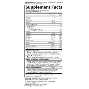 Garden of Life Sport Vegan Organic Plant Based Post Workout Muscle Recovery Powder for Men & Women - BlackBerry Lemonade 30 Servings, 100mg Magnesium, Antioxidants, Supplements, 15.7 Oz