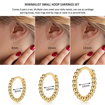 CERSLIMO Hypoallergenic Gold Hoop Earrings for Everyone
