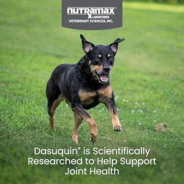 Nutramax Dasuquin Joint Health Supplement for Small to Medium Dogs - With Glucosamine, Chondroitin, ...