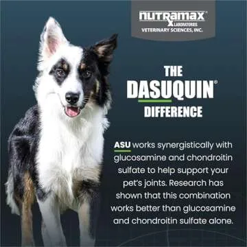 Nutramax Dasuquin Joint Health Supplement for Dogs
