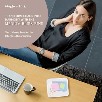 Maple + Lark Bliss Bins - Stylish Clear Storage Cases