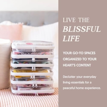 Maple + Lark Bliss Bins - Stylish Clear Storage Cases