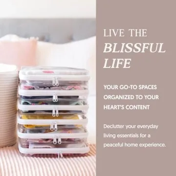 Maple + Lark Bliss Bins - Stylish Clear Storage Cases