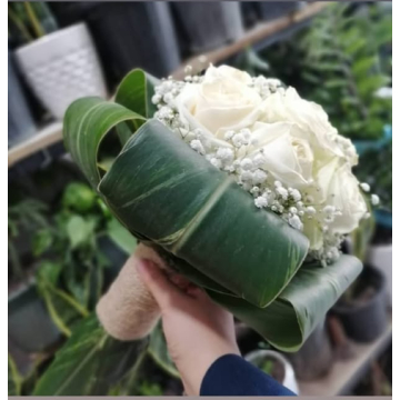 دسته گل عروس رز سفید و ژیپسوفیلا با یقه برگ‌های سبز