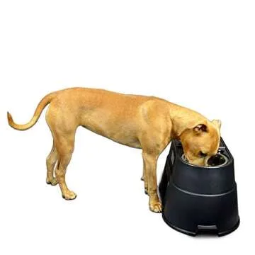 OurPets Comfort Diner Elevated Dog Food Dish (Bowls Available in 4", 8 inches and 12 inches for Large ; Medium and Small Dogs); Black; 12-inch