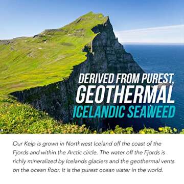 Organic Iodine Supplement from Sea Vegetable Complex, Whole Food & Raw Form - Iodine Plus Trace Mineral Complex – Contains Purest Icelandic Sea Kelp, Irish Moss & Bladderwrack (250 mcg)