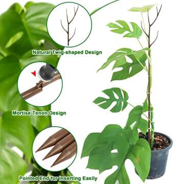 Twig Indoor Plant Support Stakes for Potted Plants, 3 Pack 39.4" Brown Twig Trellis for Outdoor Plants, Alternative Moss Poles for Climbing Plants Monstera Hoya Flowers Sticks Garden Rods with Hammer
