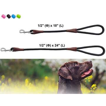 BTINESFUL Short Dog Leash- 18, 24 Inch Strong Nylon Training Traffic Leash- Classic Black No Pull Leash for Medium Large Dogs (1/2" x 18 inch)