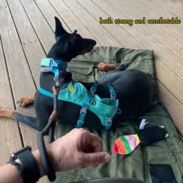 BTINESFUL Short Dog Leash- 18, 24 Inch Strong Nylon Training Traffic Leash- Classic Black No Pull Leash for Medium Large Dogs (1/2" x 18 inch)