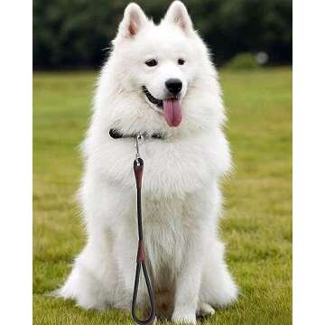 BTINESFUL Short Dog Leash- 18, 24 Inch Strong Nylon Training Traffic Leash- Classic Black No Pull Leash for Medium Large Dogs (1/2" x 18 inch)