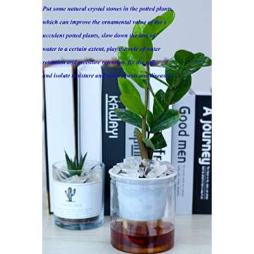 Quality Clear Quartz Crystal Points for Healing and Crafting