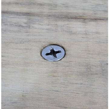 Bolt Dropper #6 x 1/2 Inch Stainless Screws 100 Pack