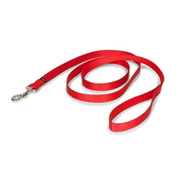 PetSafe Nylon Dog Leash Strong Durable 3/4" x 6' Red