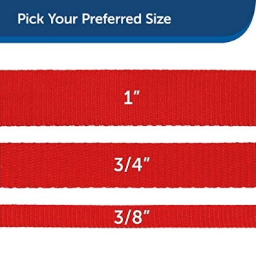 Durable PetSafe Nylon Dog Leash 3/4" Red for All Dogs