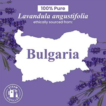 Handcraft Blends Lavender Essential Oil 100% Pure Natural