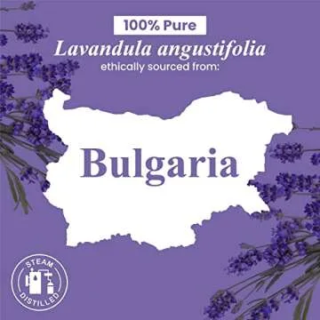 Handcraft Blends Lavender Essential Oil 100% Pure Natural