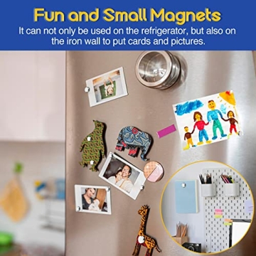 VSKIZ Miniature Neodymium Refrigerator Magnets - 200 PCS