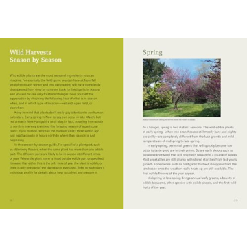 Northeast Foraging Guide for Edible Wild Plants