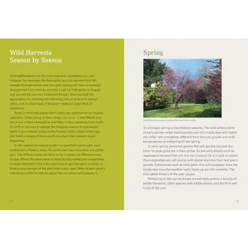 Northeast Foraging Guide for Edible Wild Plants