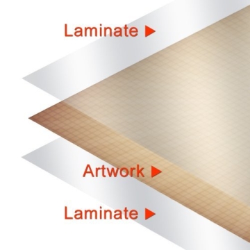 Sibley’s Laminated Bird Identification Poster for All Ages