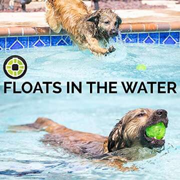 Hyper Pet DuraSqueak Dog Ball Toy - Interactive, Floats & Squeaks