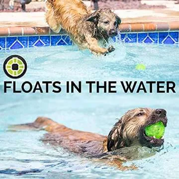 Hyper Pet DuraSqueak Dog Ball Toy - Interactive, Floats & Squeaks