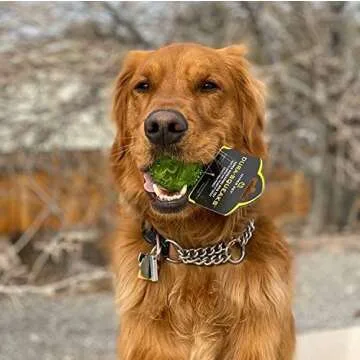 Hyper Pet DuraSqueak Dog Ball Toy - Interactive, Floats & Squeaks