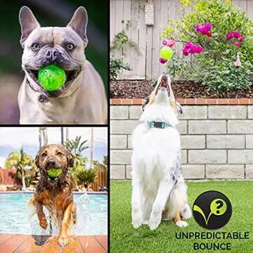 Hyper Pet DuraSqueak Dog Ball Toy - Interactive, Floats & Squeaks