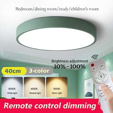 Dimmable DELIPUSHI LED Ceiling Light for Modern Homes