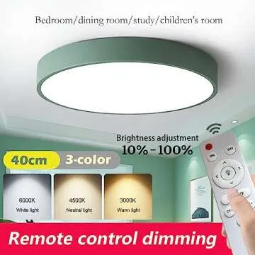 Dimmable DELIPUSHI LED Ceiling Light for Modern Homes