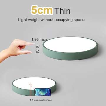 Dimmable DELIPUSHI LED Ceiling Light for Modern Homes