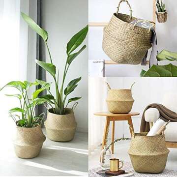 Jason's Brothers Foldable Seagrass Belly Basket - Eco-Friendly Storage Solution
