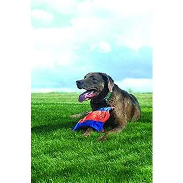 Chuckit! Flying Squirrel Dog Toy