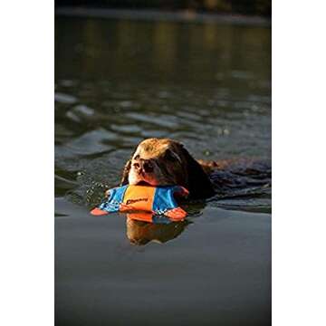 Chuckit! Flying Squirrel Dog Toy