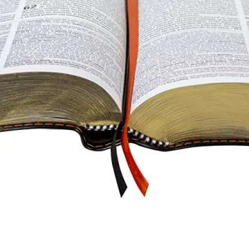 Biblia de Estudio Teológico Reina Valera 1960 - Piel Negra